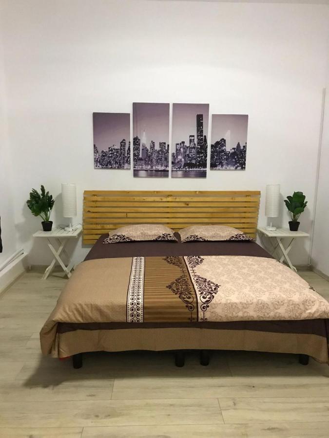 Large Apartment City Centre Бухарест Экстерьер фото
